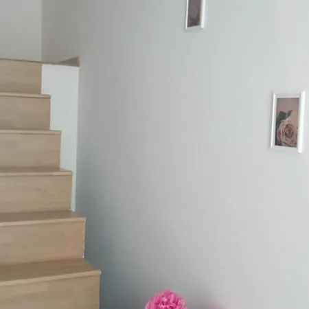 Apartment Leo Dublex Golem (Tirana)